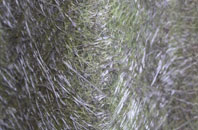 St Asaph fibreglass roof work